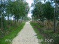 /album/resim-galerisi/fft63-mf58102410-jpeg/